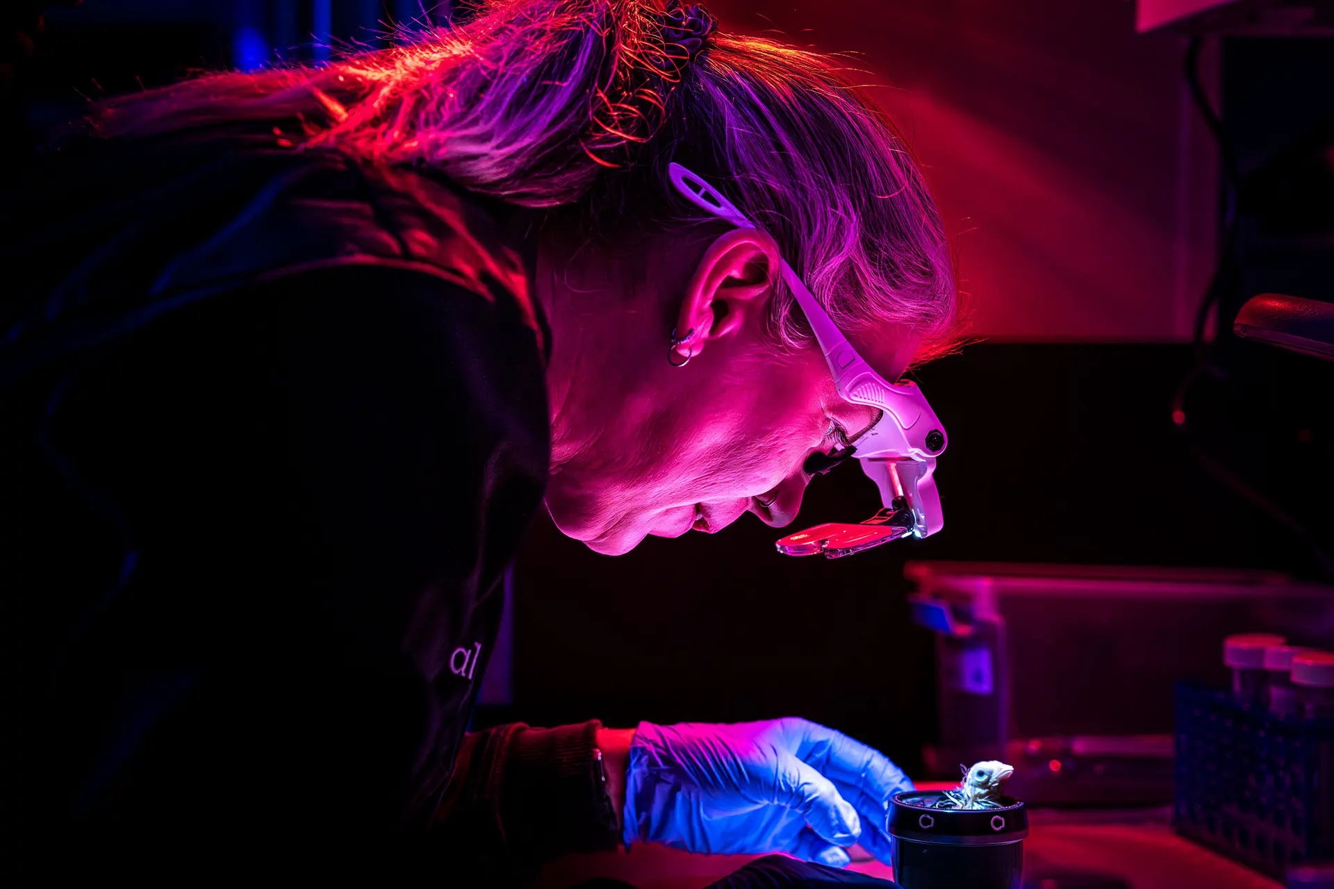 Science Technology Invention Colossal Biosciences’ Artificial Egg Named to TIME’s Best Inventions of ...