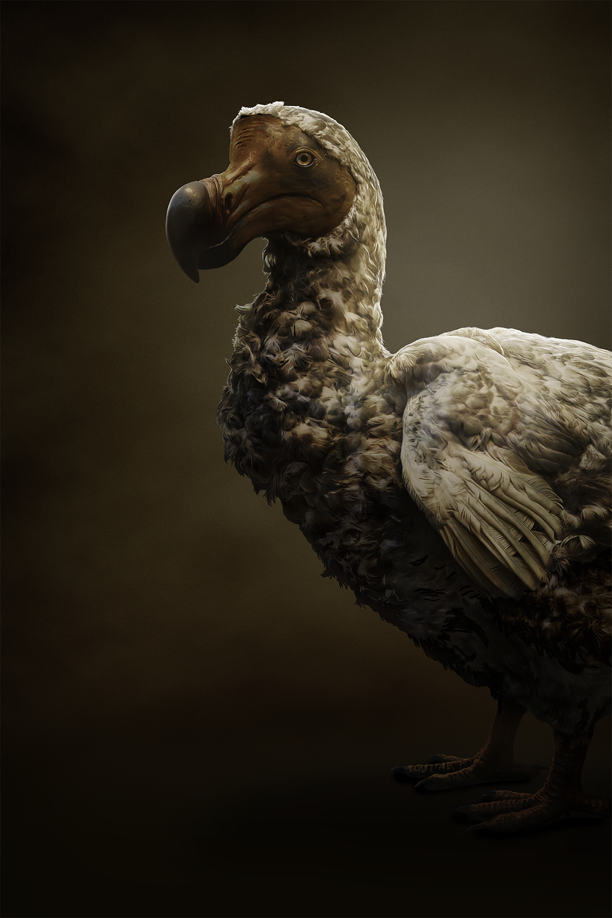 Dodo Reviving The Dodo