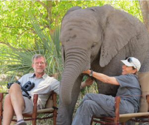 Couple sitting with elephant