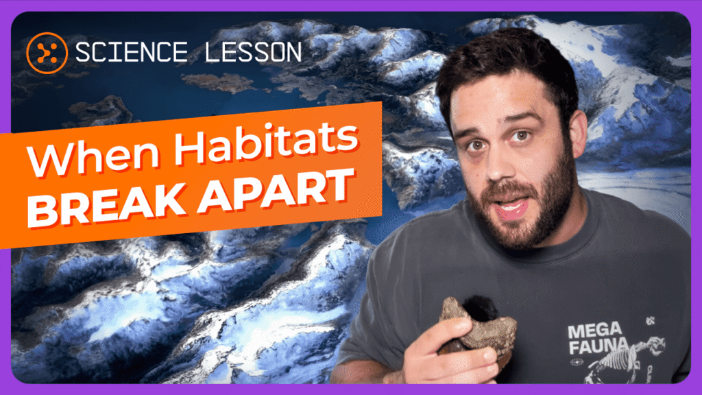 Zeke Darwin Lesson 05