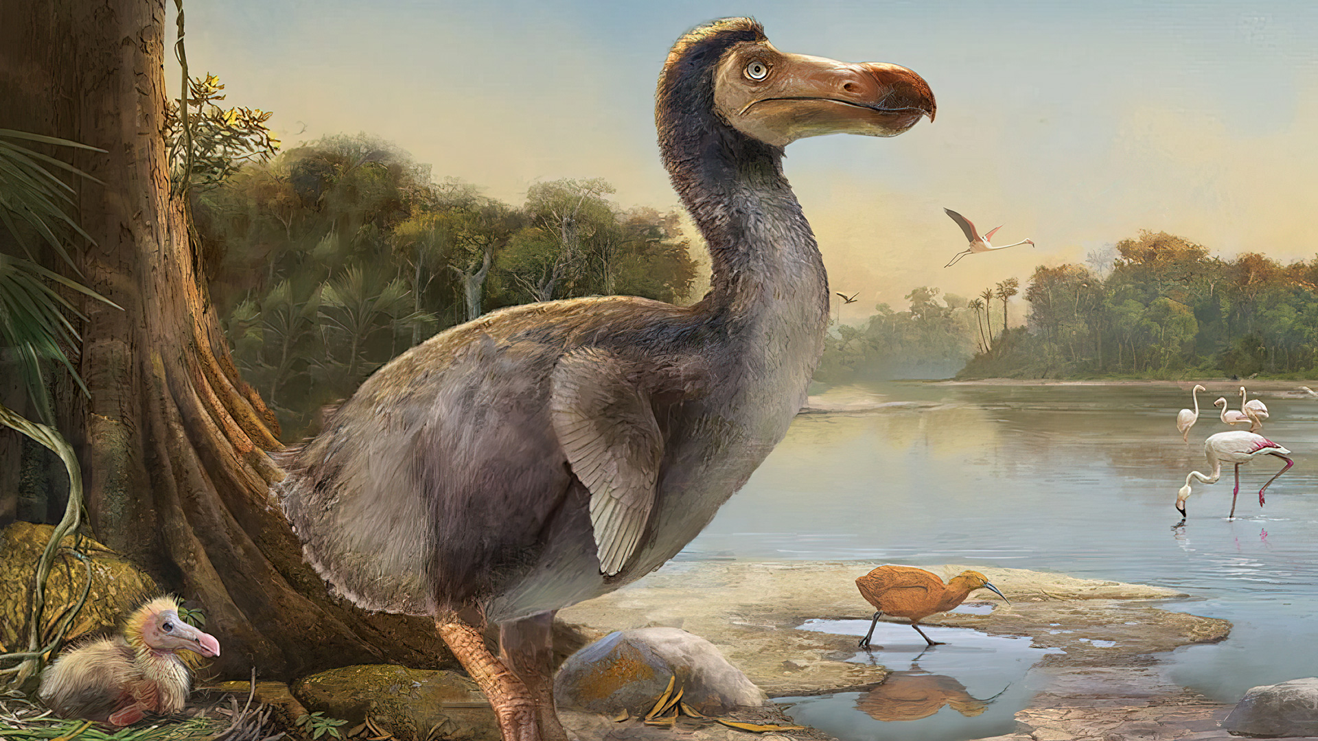 The Dodo Bird: A De-Extinction Challenge to Humanity's Perception